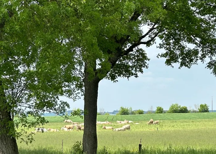 Appartement Petit Cocon En Campagne